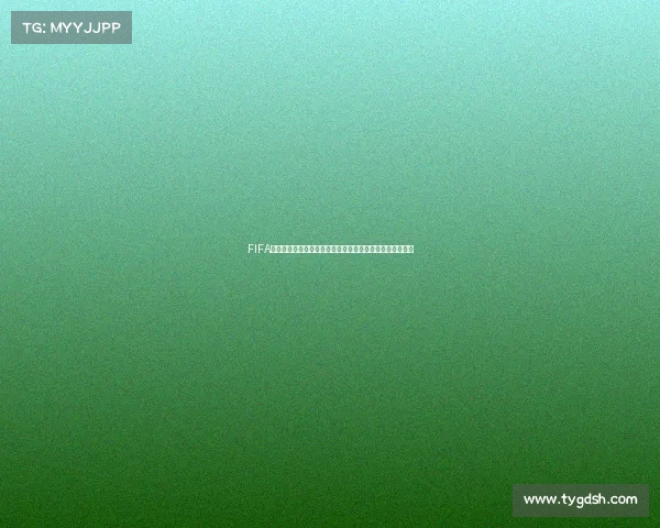FIFA世界杯决赛画报定格巅峰对决激情瞬间荣耀与梦想交织史诗
