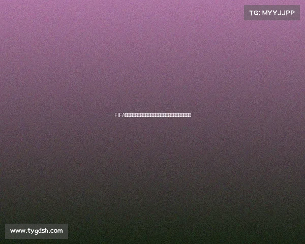 FIFA足球世界世界杯评级全面解析球员实力与赛事表现趋势分析